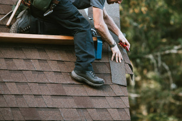 Best Sealant for Roof  in , WY